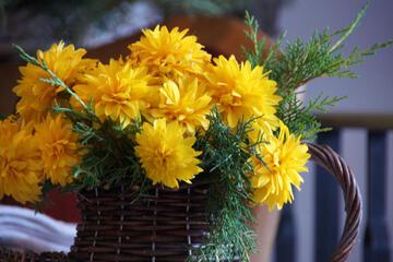 Photo 46