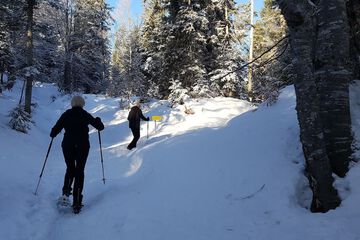 Snowshoeing