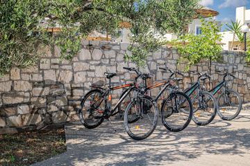 Bicycling