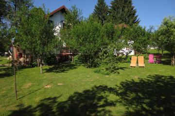 Photo 38