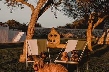 Pet-friendly