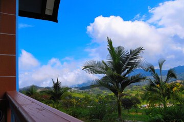 Mountain view