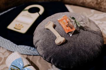 Pet-friendly amenities