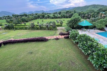 Garden view