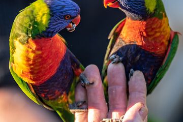 Children's activities