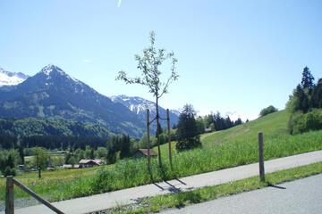 Photo 31