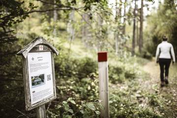 Hiking