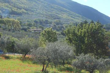 Photo 26