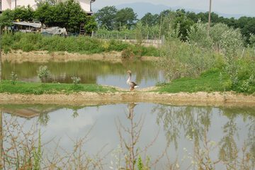 Fishing