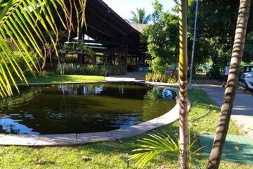 Photo 24