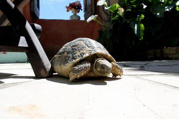 Photo 24