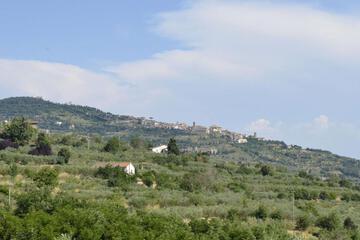 Photo 38