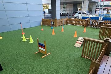 Pet-friendly amenities
