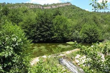 Photo 28