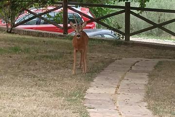 Photo 26