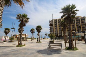Dock