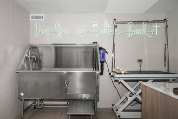 Pet-friendly amenities