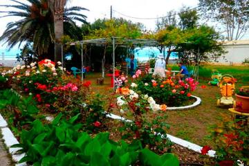 Photo 21