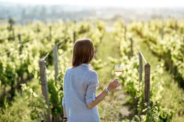 Vineyard