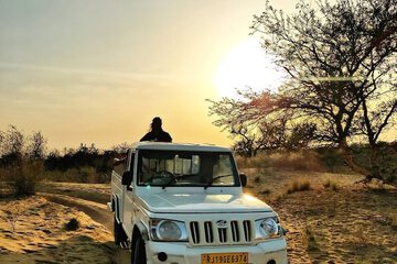 Safari