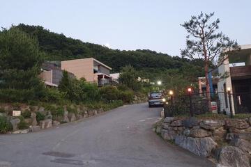 Photo 49