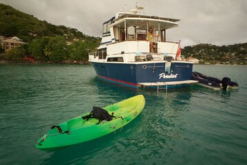 Kayaking