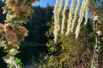 Outdoor wedding area