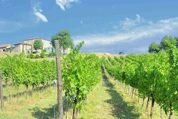 Winery