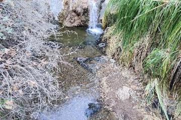 Photo 81