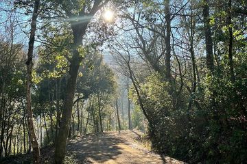 Hiking