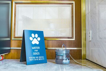 Pet-friendly amenities