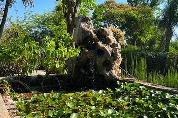 Photo 35