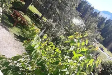 outside