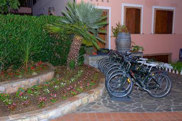 Photo 36