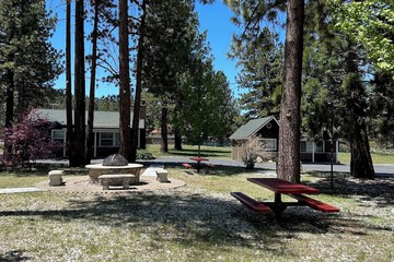 BBQ/picnic area