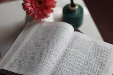 Photo 37