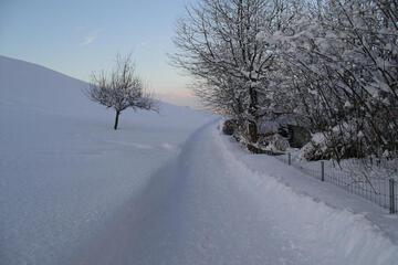 Photo 24