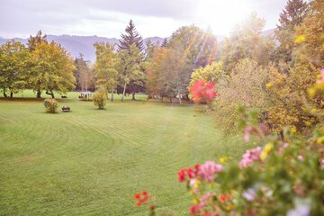 Park view
