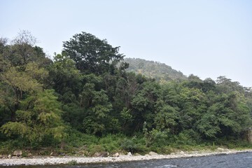 Lake view