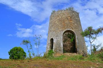 Photo 33