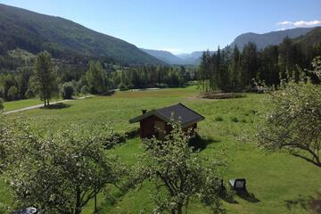 Photo 8