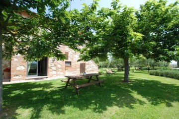 Terrace or Patio