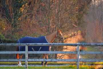 Property amenity