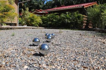 Mini-golf