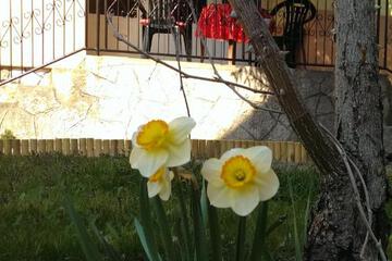 Photo 24