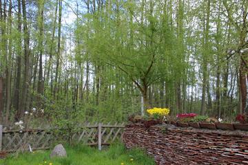Photo 20