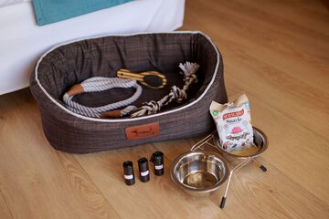 Pet-friendly amenities