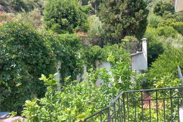 Photo 37