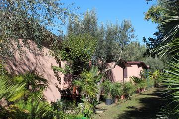 Photo 24