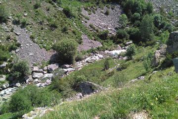 Photo 24